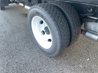 2025 Chevrolet Low Cab Forward 4500 1WT